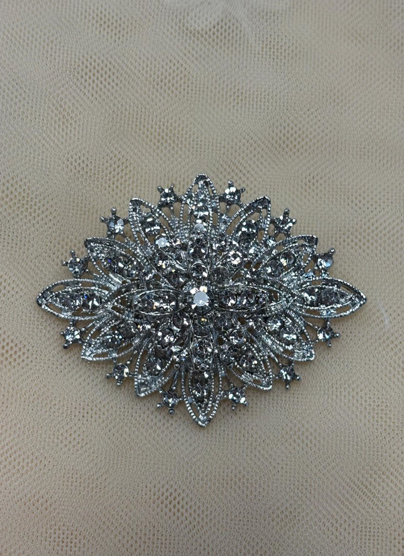 Broche Plateado 789